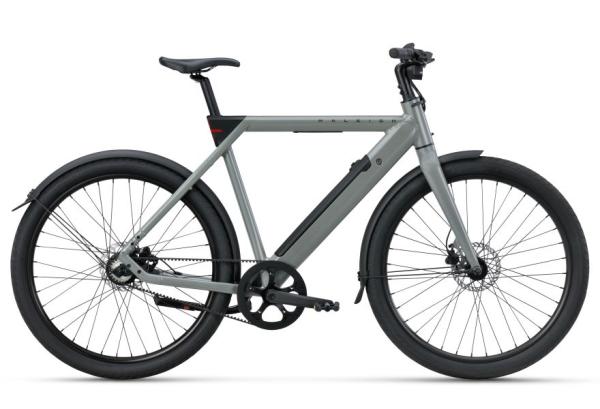 RALEIGH ONE sage grey