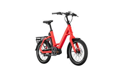 QIO EINS AP-8 Unisex 48 cm rot Produktbild 1