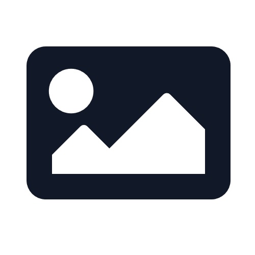 Bergamont E-Horizon Sport 20 - flaky black - XL