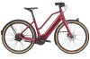 Schindelhauer Hannah Enviolo S 45 E BIKE KASTEN